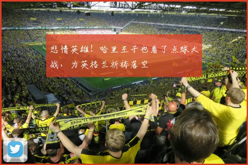 悲情英雄!哈里王子也看了点球大战,为英格兰祈祷落空